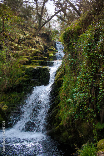 O Sullivans Cascade  waterfall  Killarney National Park
