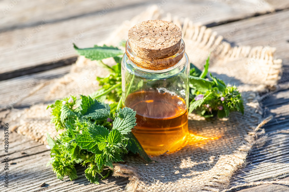 Ballota nigra, black horehound fresh flowers collected in meadow and a ready-made elexir or medicinal drink in a transparent jar. collect herbs for preparation of tincture. mortar to rub flowers. Ballota nigra, black horehound fresh flowers collected in meadow and a ready-made elexir or medicinal drink in a transparent jar. collect herbs for preparation of tincture. mortar to rub flowers.