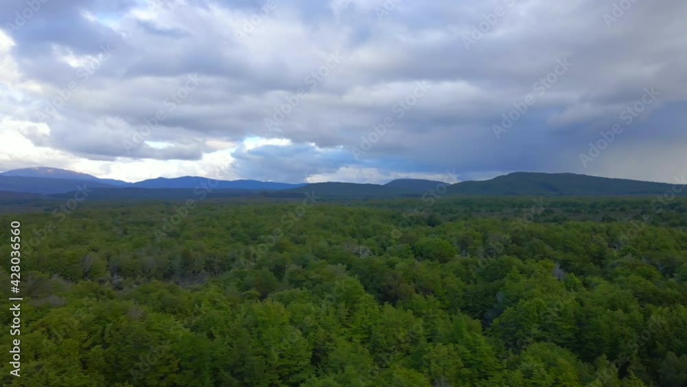 Aerial slider view of dense green tree tops with tall mountains in the background Aerial slider view of dense green tree tops with tall mountains in the background