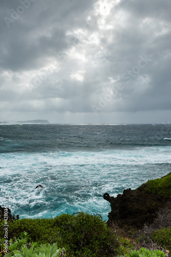 Vertical energetic scene with rough and frizzy sea, white foams, gray sky with soft rays of sunlight illuminating the horizon, coastal plants composing the scenery in the foreground.