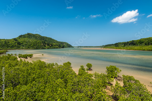 Lush mangrove forest on the extensive Urauchi River contrasting with blue sky. Sand and clear blue waters at low tide. Iriomote island.