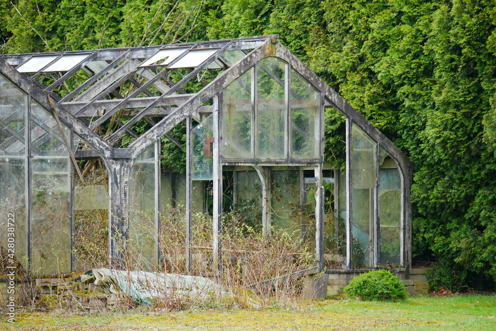 old rusted metal greenhouse with broken windows and overgrown, dried up plants old rusted metal greenhouse with broken windows and overgrown, dried up plants