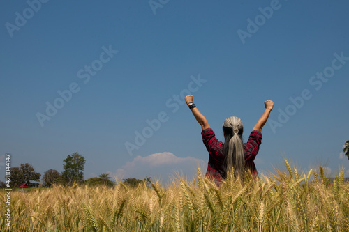 Rear view of woman farmer standing with his outstretched in Barley field examining on blue sky background