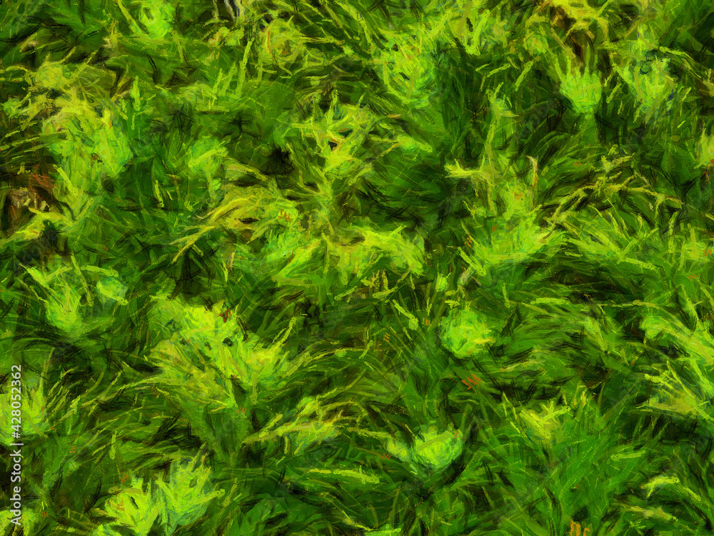 An ornamental shrub with beautiful leaves and various shapes Illustrations creates an impressionist style of painting. An ornamental shrub with beautiful leaves and various shapes Illustrations creates an impressionist style of painting.
