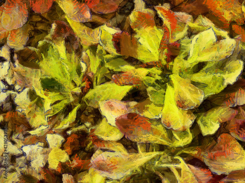 An ornamental shrub with beautiful leaves and various shapes Illustrations creates an impressionist style of painting.
