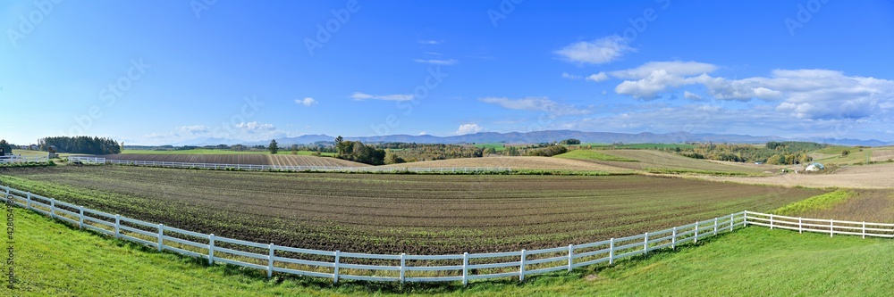 美瑛の丘で見た青空バックの十勝連峰と広大な畑のパノラマ情景＠北海道