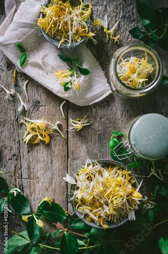 Ingredients for the making of honeysuckle syrup photo