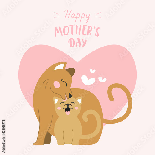Mother cat with baby