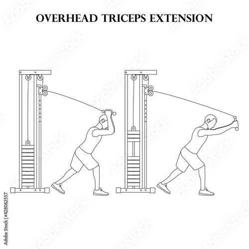 Overhead triceps extension exercise strength workout vector illustration outline