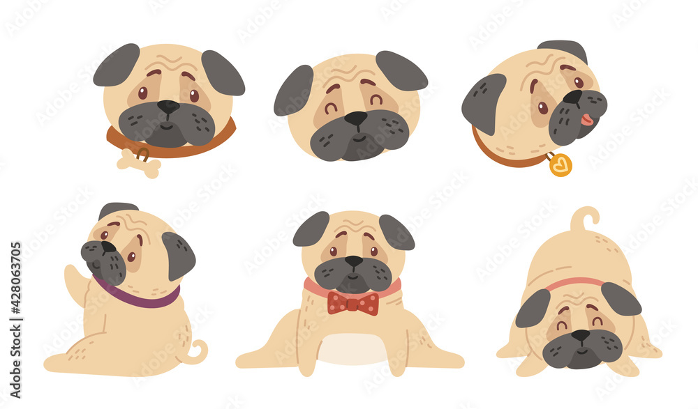 Cute baby pugs kids isolated clipart bundle