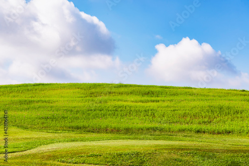 Green Grass Field with Blue Sky Background © iamdoctoregg