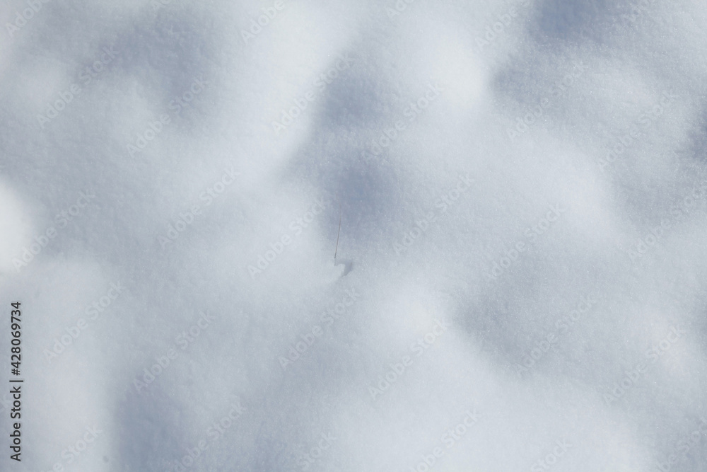 white snow surface close up