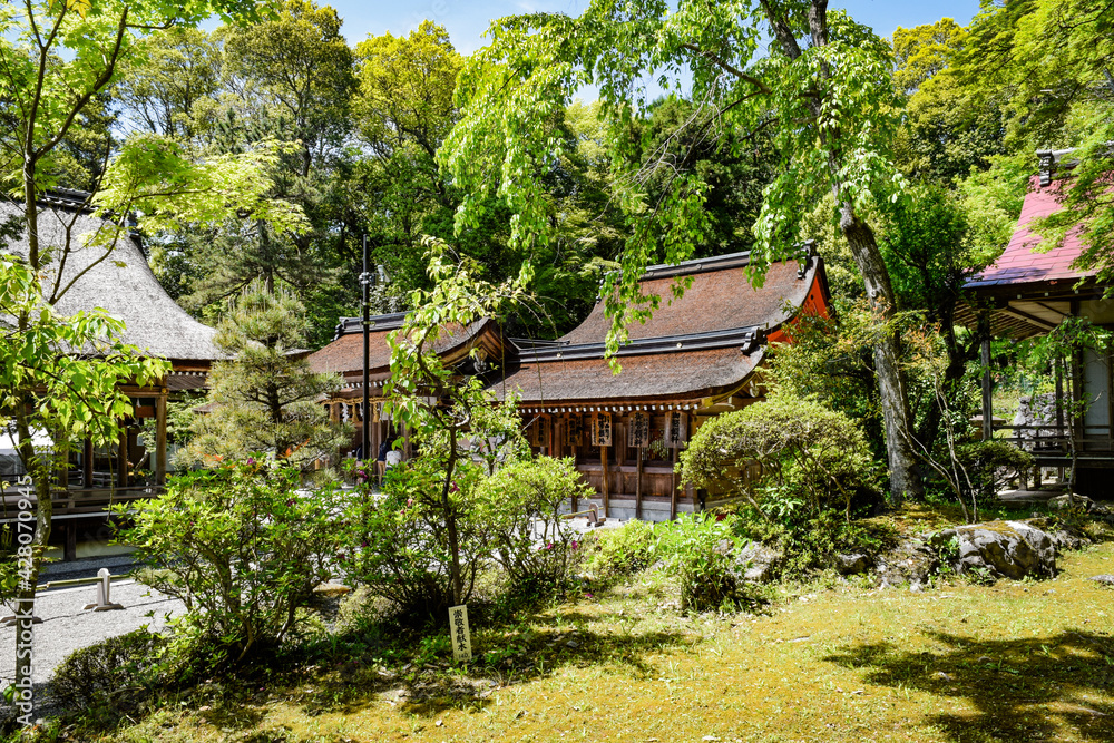 亀岡、出雲大神宮・大八洲國國神社周辺の情景 亀岡、出雲大神宮・大八洲國國神社周辺の情景