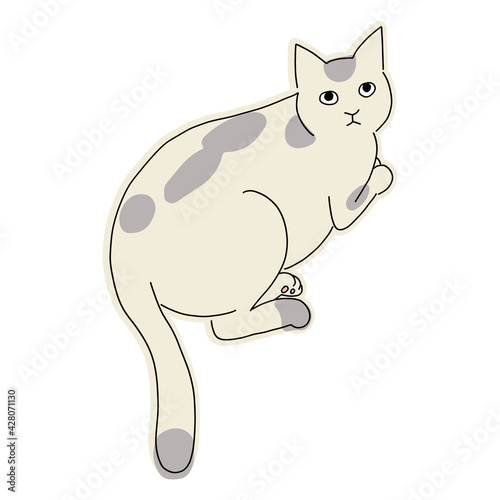 猫の全身イラスト　ぶち柄の猫