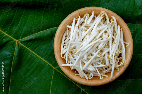 Bean sprouts in wooden cup on green leaf background, top view. photo