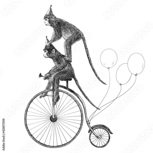 Beautiful stock illustration with cute hand drawn safari animal monkey on the bike with baloons. Birthday party. © zenina