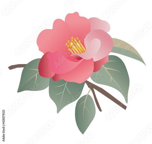 椿の花　イラスト