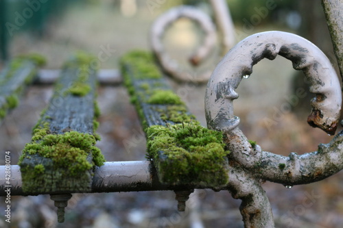 old bench