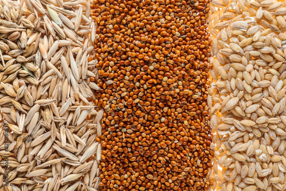 Obraz premium Heap of different cereals as background