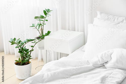 Modern bedside table and houseplant in interior of bedroom