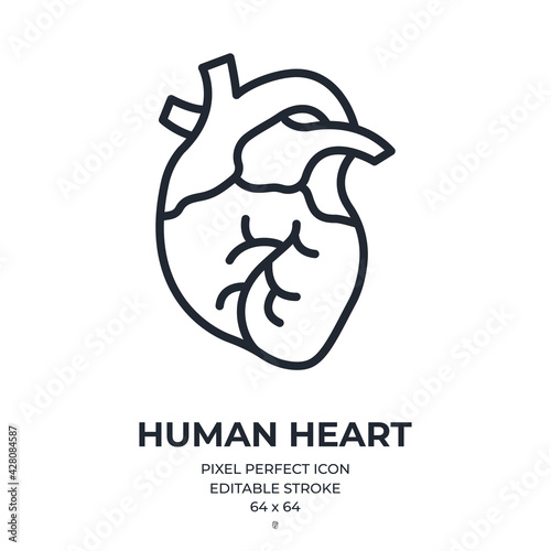 Human heart editable stroke outline icon isolated on white background flat vector illustration. Pixel perfect. 64 x 64.