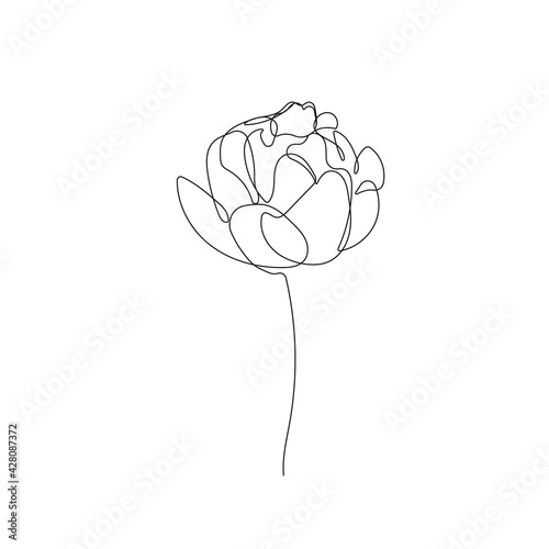 Peony Flower Continuous One Line Drawing. Line Art Drawing of Peony Flower Hand Drawn Minimalism Style for Print, Poster, Wall Decor, Social Media, Invitation. Vector EPS 10