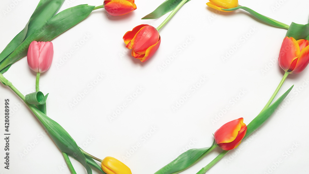 Creative composition of tulip flowers on a white background. flat lay Creative composition of tulip flowers on a white background. flat lay