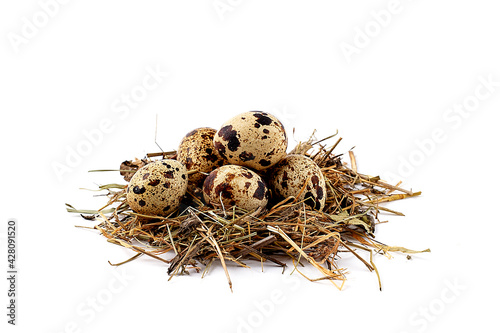 Fresh quail eggs, on a white background, horizontal, no people,