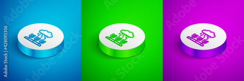 Isometric line Plant sprouts grow in the rain icon isolated on blue, green and purple background. Seedling concept. White circle button. Vector