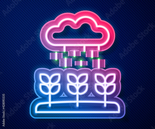 Glowing neon line Plant sprouts grow in the rain icon isolated on blue background. Seedling concept. Vector