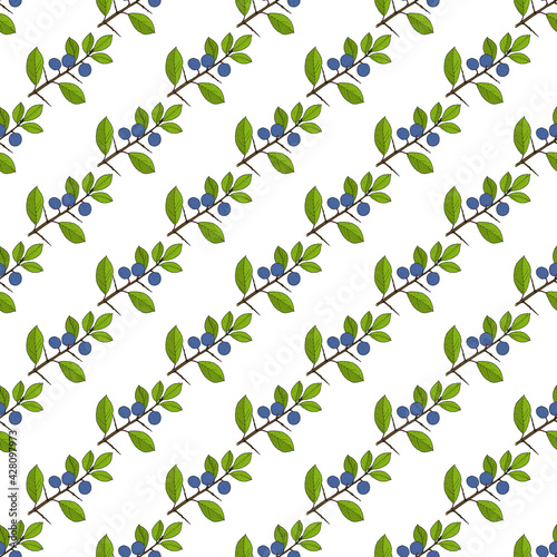 Seamless pattern with blackthorn branch