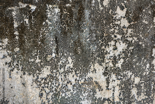 concrete wall texture © Loginov Sergei