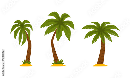 Palm Tree as Tropical Plant with Trunk Rested on Sand Vector Set