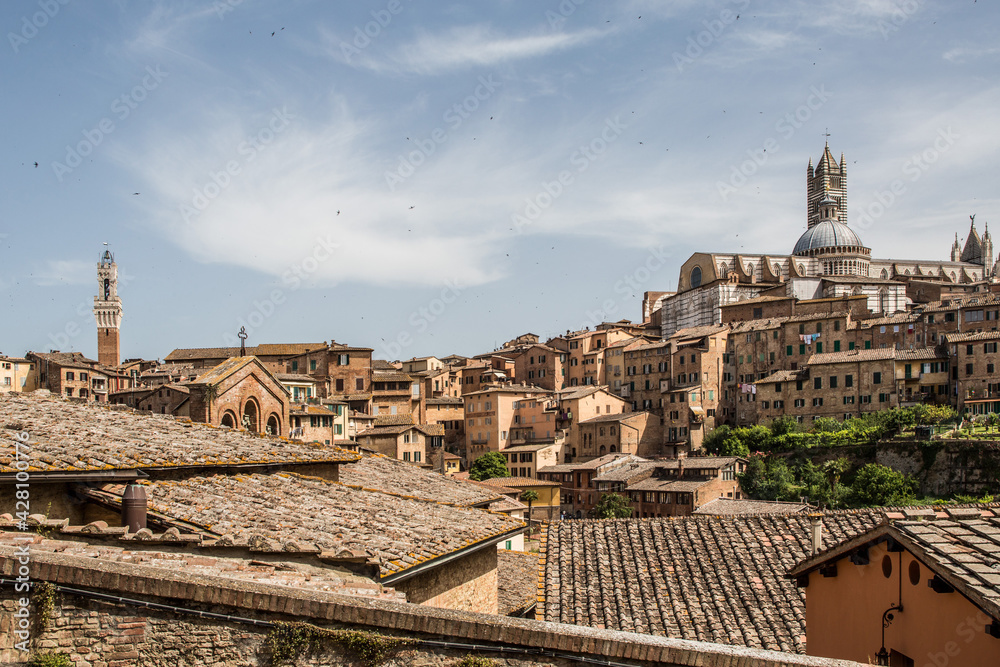 Panorama of the town of Siena in Tuscany with the cathedral on the right and the Torre del Mangia on the left in the background