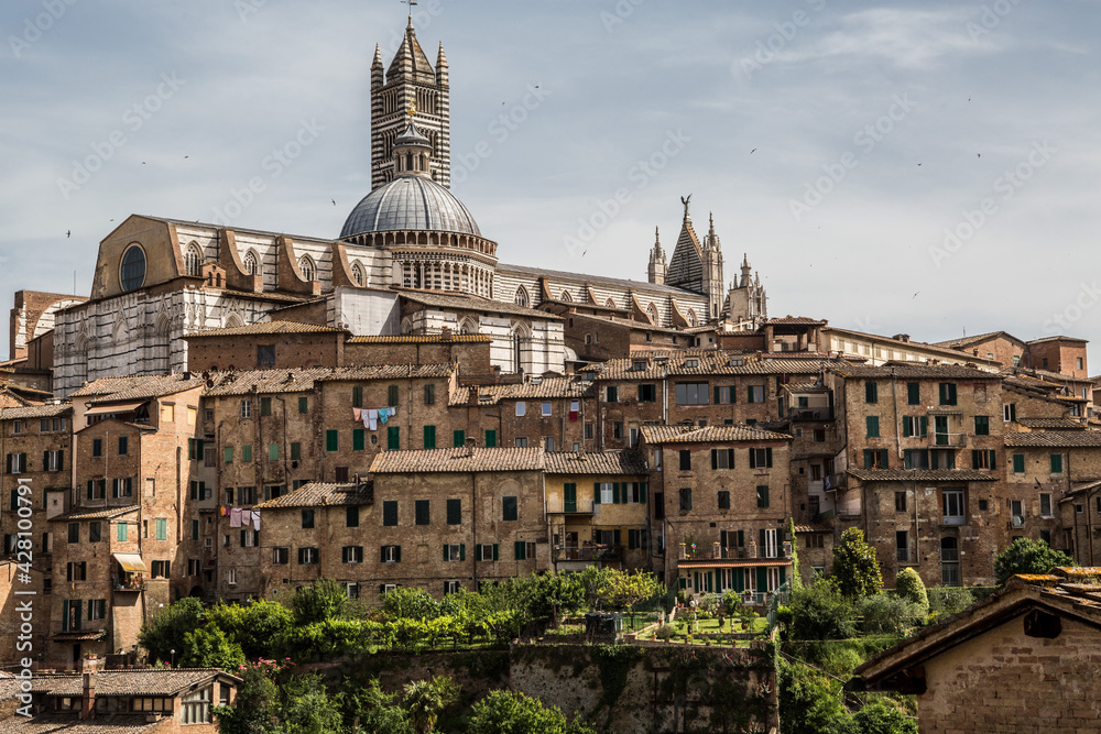 View of the cathedral of Siena in Tuscany with the houses of the medieval town in the foreground and behind the blue sky with some white clouds 
