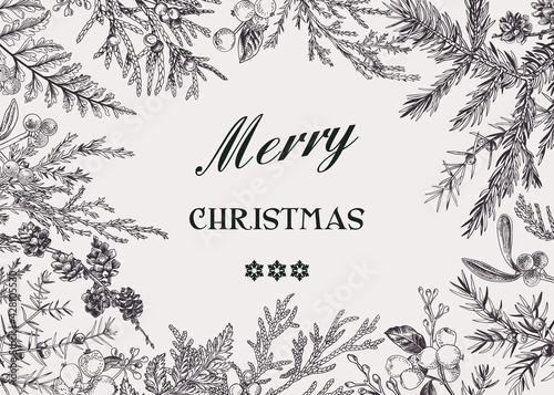 Frame with conifers. Black.