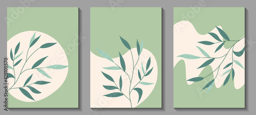 Floral web banner with drawn color exotic leaves. Nature concept design. Modern floral collection of contemporary posters. Vector illustration for social media, print, postcards