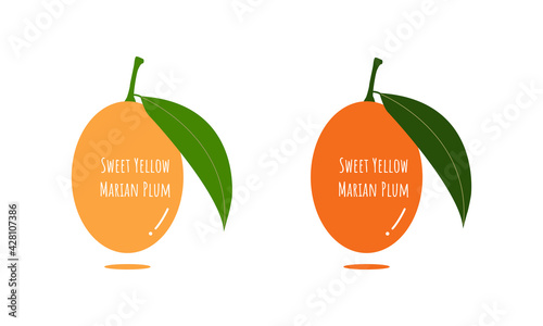 Sweet Yellow Marian Plum logo. Fruit logo. Cute style Sweet Yellow Marian Plum. Summer fruit.