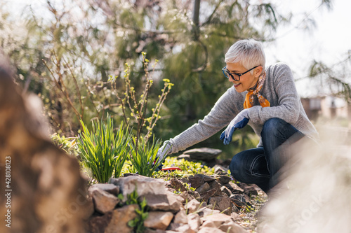Fotografie Retired senior woman gardening