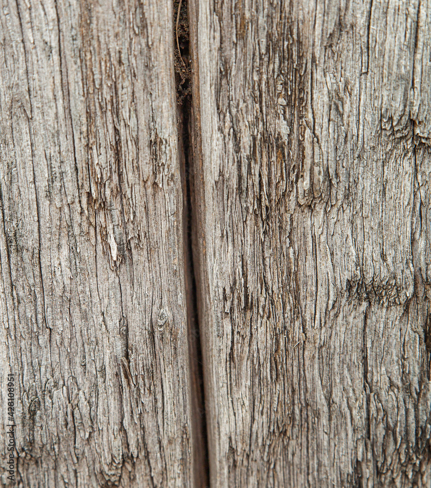 dark gray grunge wood texture - wooden background with crack, split. Vertical photo. dark gray grunge wood texture - wooden background with crack, split. Vertical photo.