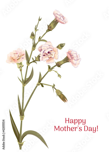 Vertical Mother's Day, Victory Day card with carnation: white, light, pink, flowers, twigs, white background. Templates for design, vintage botanical illustration in watercolor style, vector