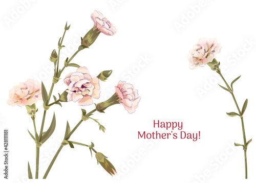 Horizontal Mother's Day, Victory Day card with carnation: white, light, pink, flowers, twigs, white background. Templates for design, gentle, vintage botanical illustration in watercolor style, vector