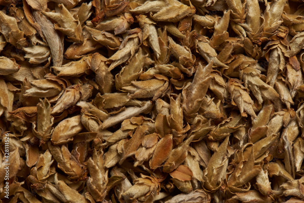Sprouted green tea as a background. Sprouted green tea as a background.