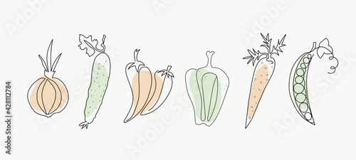 Line art vegetables. One line drawings. Vector graphics. Isolated background. photo