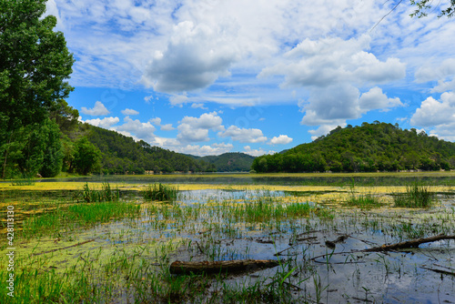 Fototapeta le lac sainte suzanne ( lac de Carces) en Provence