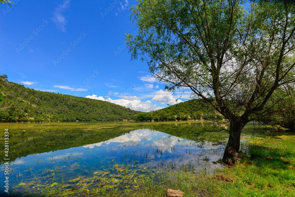 Vue du lac de Sainte Suzanne (dit lac de Carces) avec les reflets des montagne dans l'eau et les plantes aquatiques au premier plan sou un cliel bleu azur parsemé de nuages blancs