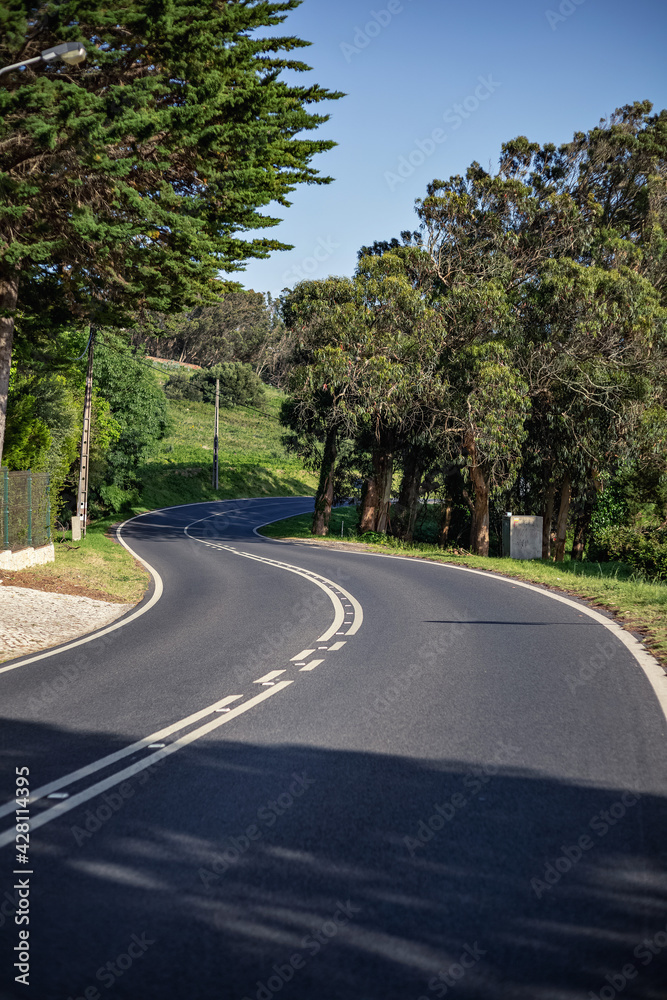 double lane in a mountain road between the forest. inspiration for movement and travel