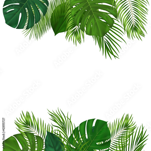 Summer tropical background with green palm leaves. Exotic botanical design with jungle plants for invitation, banner, poster. Vector illustration