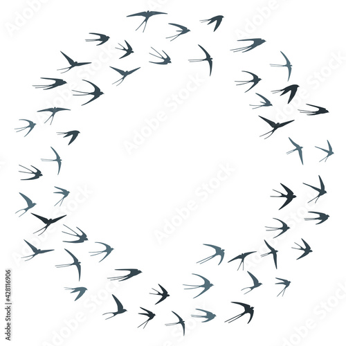 Flying swallow birds silhouettes vector illustration. Nomadic martlets swarm isolated on white.