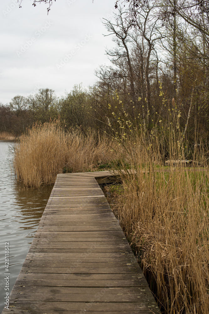 wooden bridge in the park 